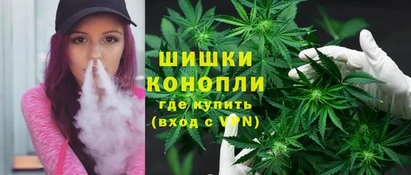 PSILOCYBIN Алзамай