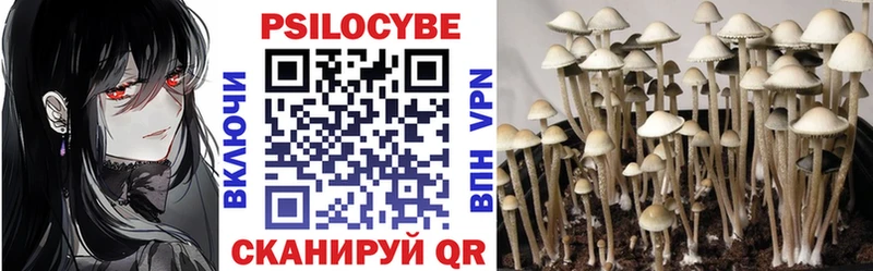 наркотики  Ардон  блэк спрут рабочий сайт  Галлюциногенные грибы Psilocybe 